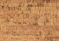 Пробковый пол Corkstyle EcoCork Glue Linea